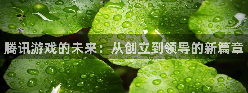 新宝GG子的图片：腾讯游戏的未来：从创立到领导的新篇章