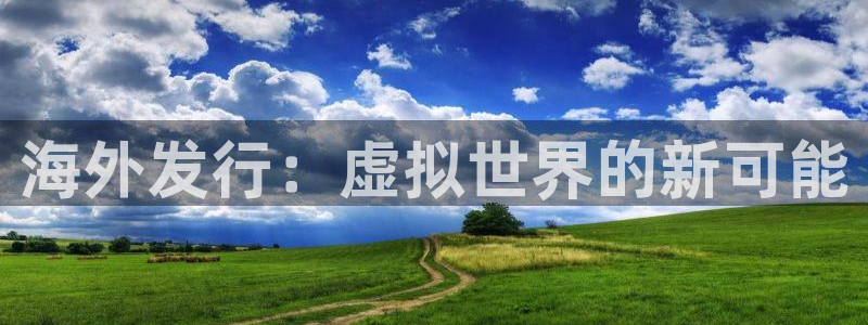 新宝GG平台：海外发行：虚拟世界的新可能
