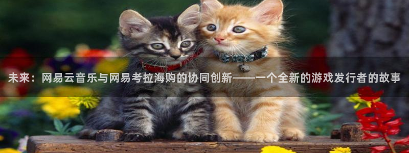 新宝GG官网注册平台是什么公司：未来：网易云音乐与网易考拉海购的协同创新——一个全新的游戏发行者的故事