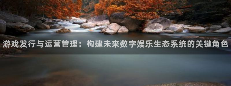 新宝GG平台登录入口官网：游戏发行与运营管理：构建未来数字娱乐生态系统的关键角色