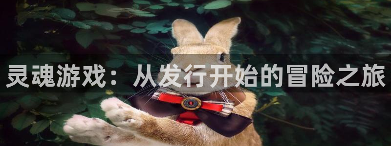 新宝GG子招聘：灵魂游戏：从发行开始的冒险之旅