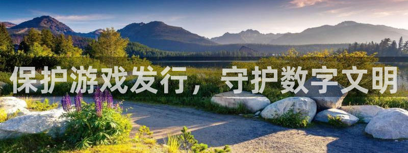 新宝GG电子商务有限公司怎么样啊