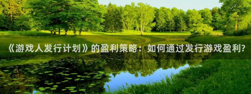 广州新宝GG足球俱乐部：《游戏人发行计划》的盈利策略：如何通过发行游戏盈利?