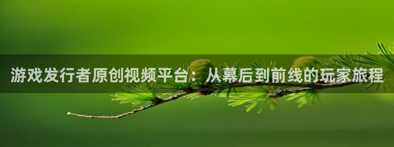新宝GG官网主管联3.7.9.9.7 主管：游戏发行者原创视频平台：从幕后到前线的玩家旅程