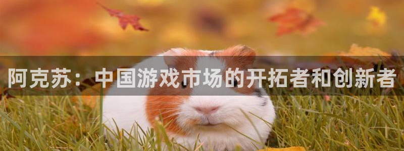 新宝GGlvnces官网：阿克苏：中国游戏市场的开拓者和创新者