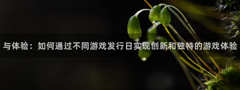 广东新宝GG电子科技有限公司