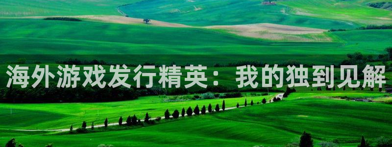 新宝GG啤酒多少钱一箱：海外游戏发行精英：我的独到见解