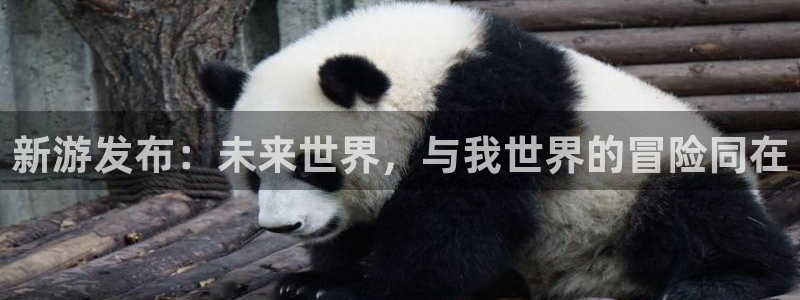新宝GG官网登录注册：新游发布：未来世界，与我世界的冒险同在