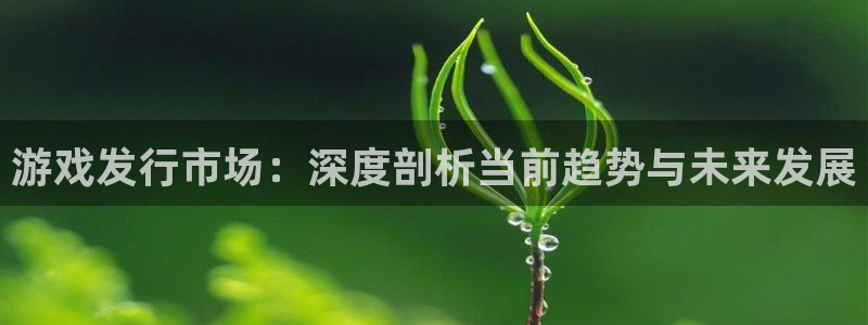 新宝GG红酒怎么样