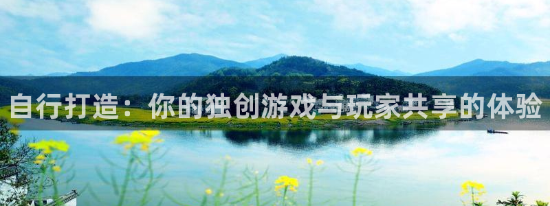 深圳新宝GG电商