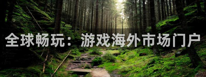 新宝GG电子商务有限公司：全球畅玩：游戏海外市场门户