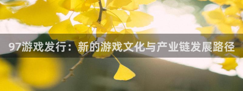 广州新宝GG电子商务：97游戏发行：新的游戏文化与产业链发展路径