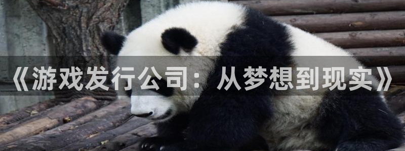 新宝GG电子科技