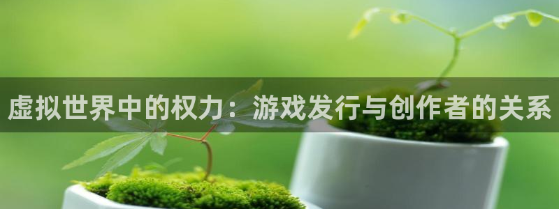 新宝GG电子商务怎么样