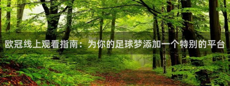 9255tv直播nba在线观看：欧冠线上观看指南：为你的足球梦添加一个特别的平台