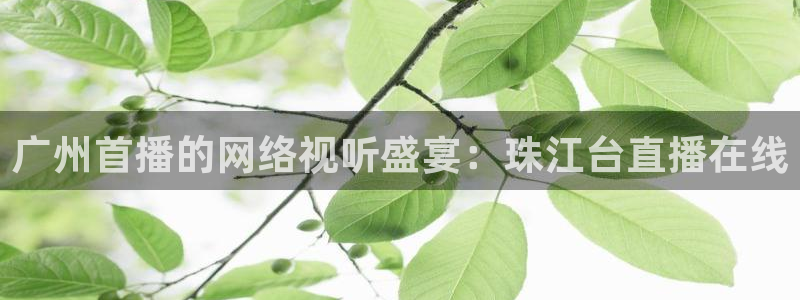 9255tv直播无插件nba：广州首播的网络视听盛宴：珠江台直播在线
