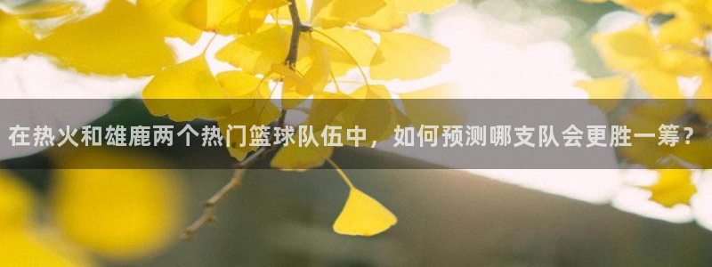9255tv直播无插件nba：在热火和雄鹿两个热门篮球队伍中，如何预测哪支队会更胜一筹？