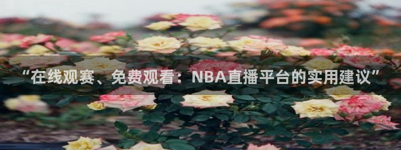 9255tv直播无插件nba：“在线观赛、免费观看：NBA直播平台的实用建议”