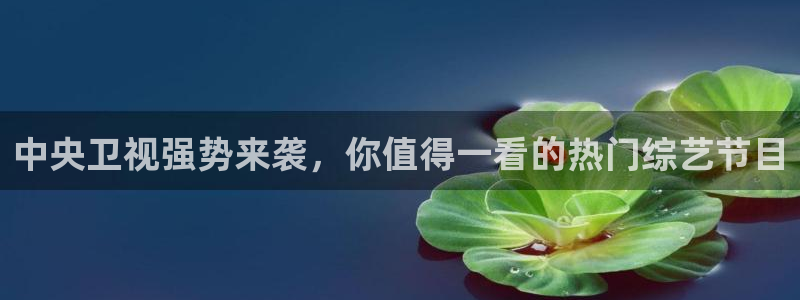 9255tv直播nba在线观看：中央卫视强势来袭，你值得一看的热门综艺节目