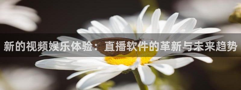 9255tv直播nba在线观看