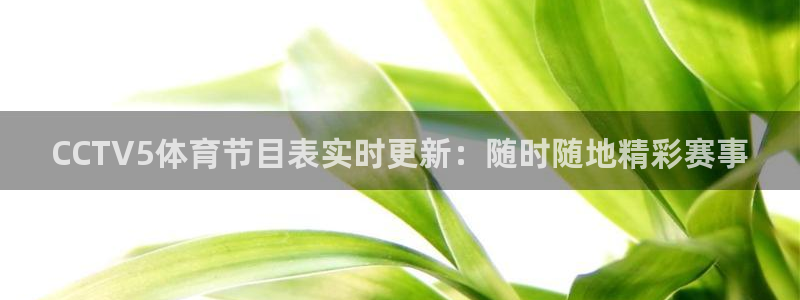 9255tv直播nba在线直播