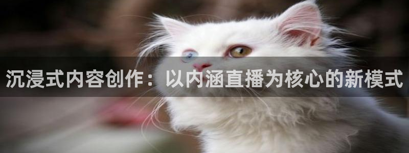 9255tv直播nba在线观看：沉浸式内容创作：以内涵直播为核心的新模式